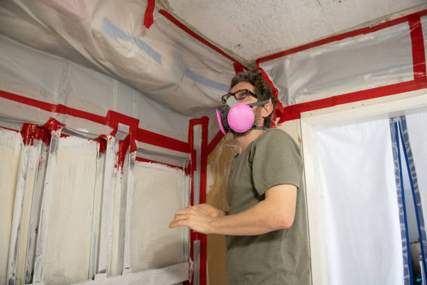 Best Mold Remediation for Healthcare Facilities  in USA